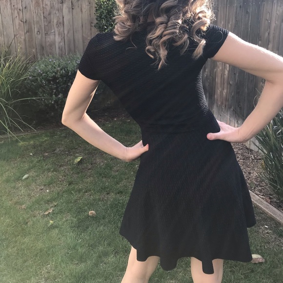 Torn by Ronny Kobo Black Skater Dress - Picture 7 of 8